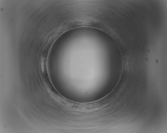 X0000053090026200507111209