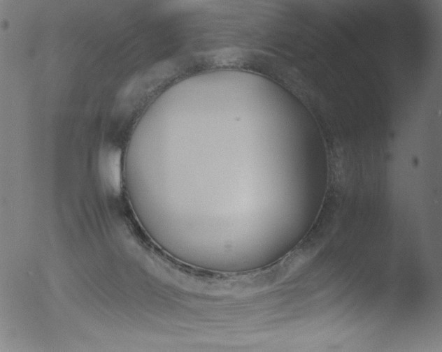 X0000053090028200507111209