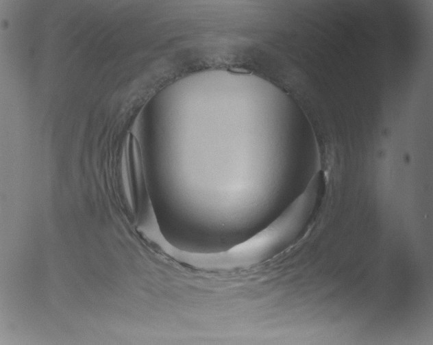 X0000053090029200507111209