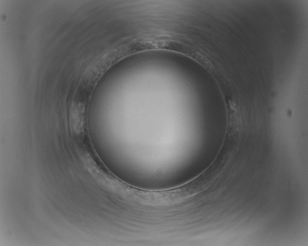 X0000053090030200507111209