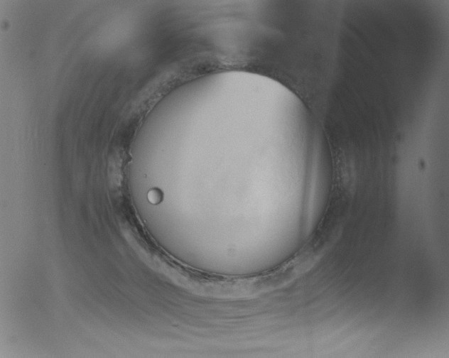 X0000053090032200507111209