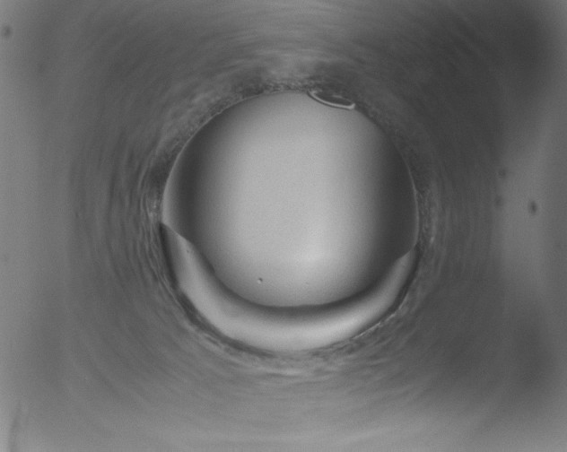 X0000053090033200507111209