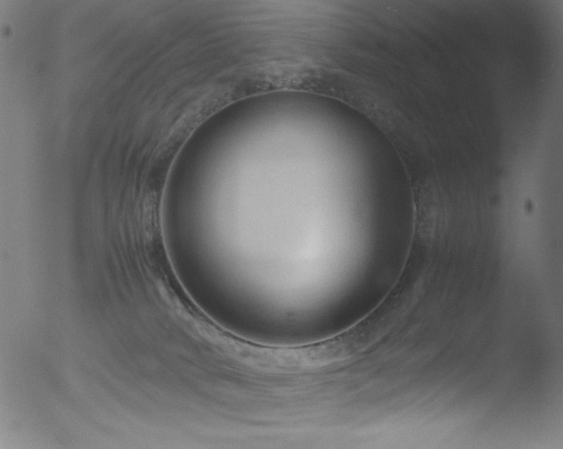 X0000053090034200507111209