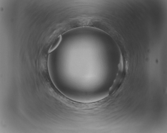 X0000053090035200507111209