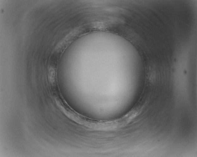 X0000053090036200507111209