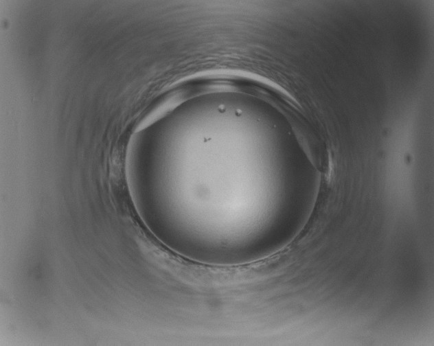 X0000053090037200507111209