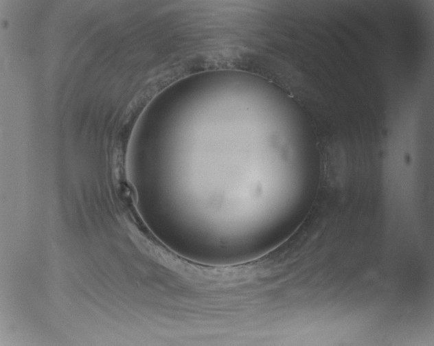 X0000053090038200507111209