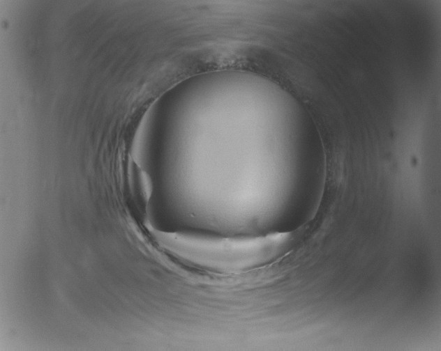 X0000053090039200507111209