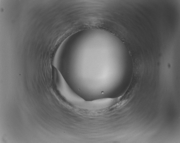 X0000053090040200507111209