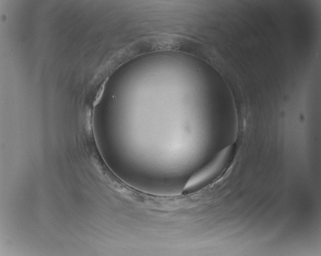 X0000053090041200507111209