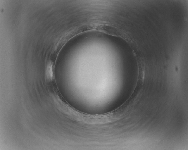 X0000053090042200507111209