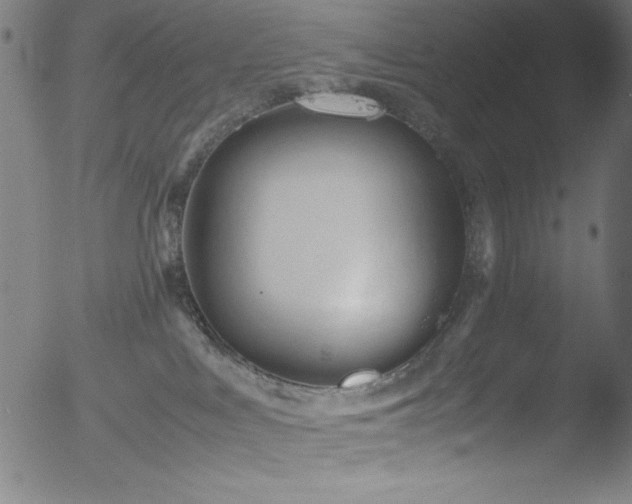 X0000053090043200507111209