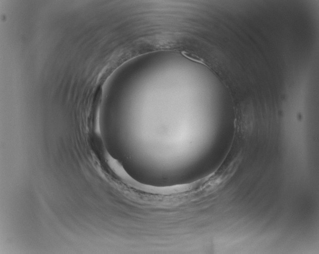 X0000053090044200507111209