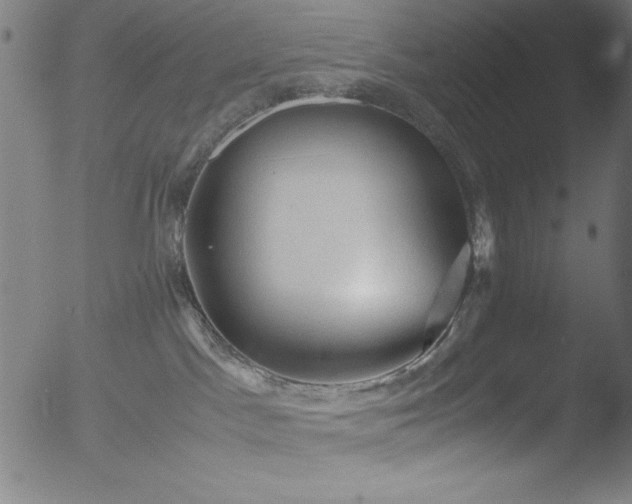 X0000053090045200507111209