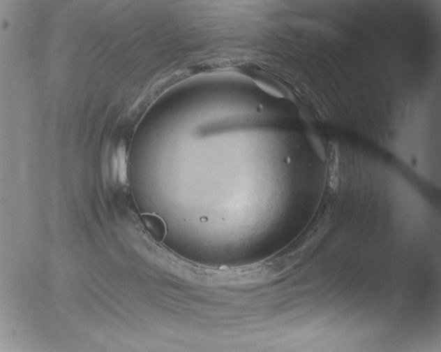 X0000053090046200507111209