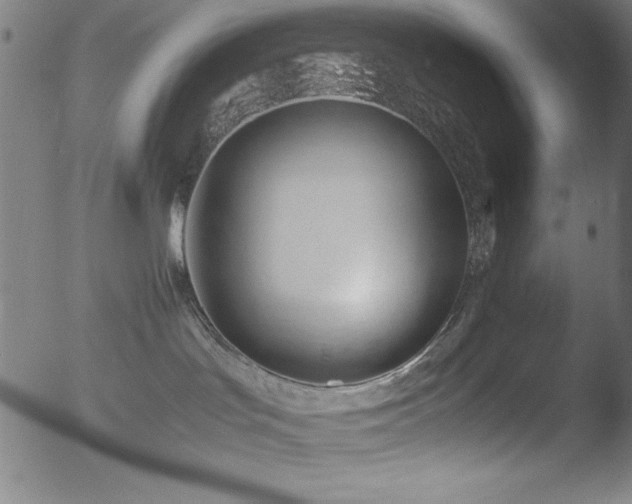 X0000053090047200507111209