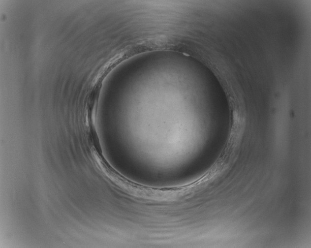 X0000053090048200507111209