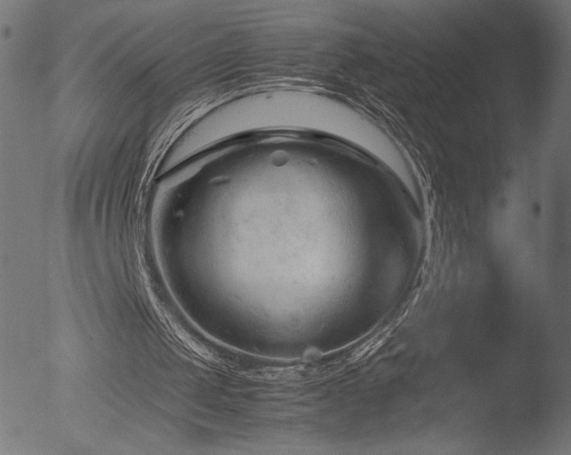 X0000053090049200507111208