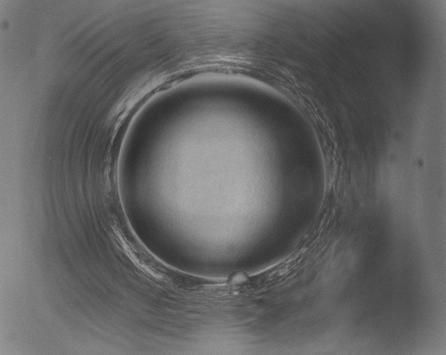 X0000053090050200507111208