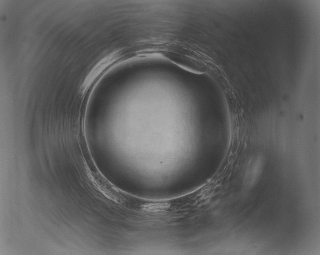 X0000053090051200507111208