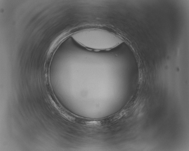 X0000053090053200507111208