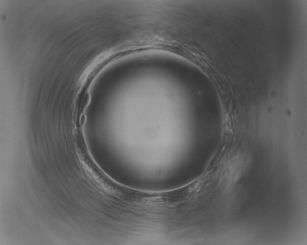 X0000053090054200507111208