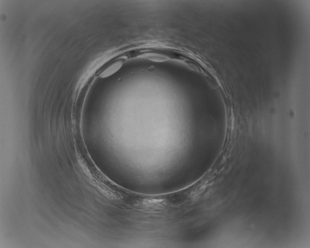 X0000053090055200507111208