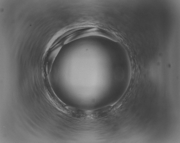 X0000053090056200507111208