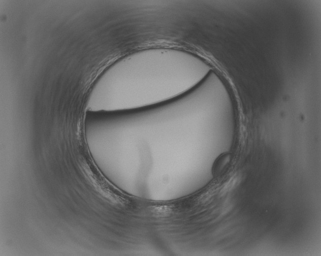 X0000053090057200507111208