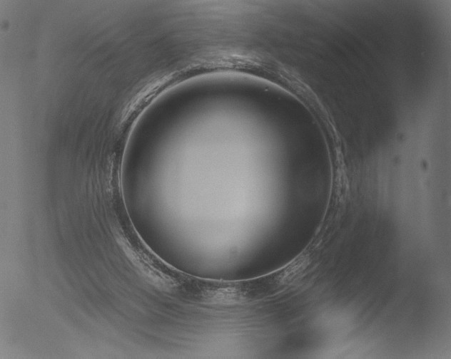 X0000053090058200507111208