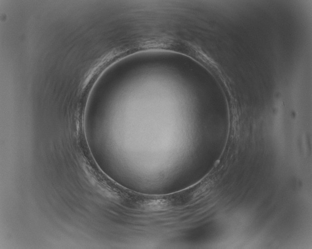 X0000053090059200507111208