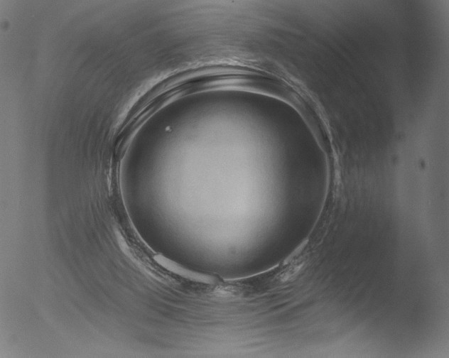 X0000053090060200507111208