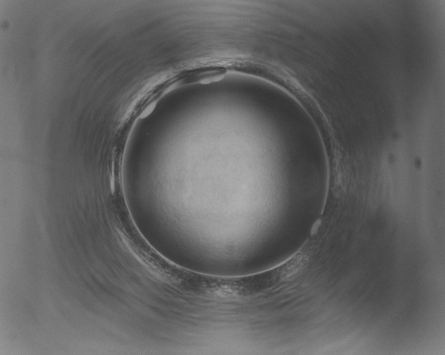 X0000053090062200507111208