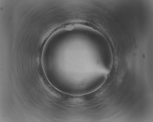 X0000053090063200507111208