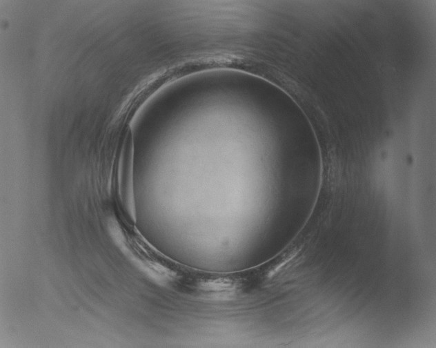 X0000053090064200507111208