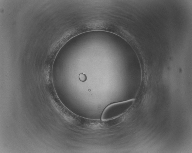 X0000053090065200507111208