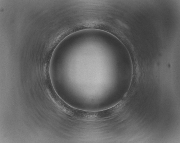 X0000053090066200507111208