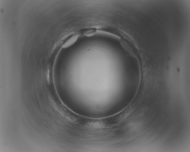 X0000053090067200507111208