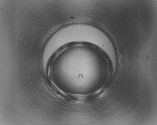 X0000053090068200507111208