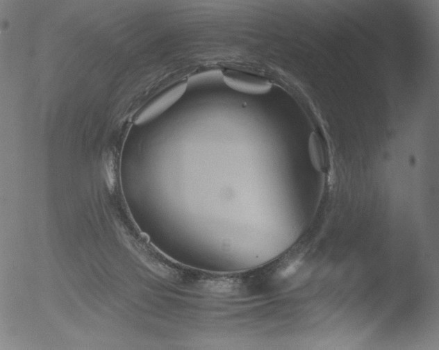 X0000053090069200507111208