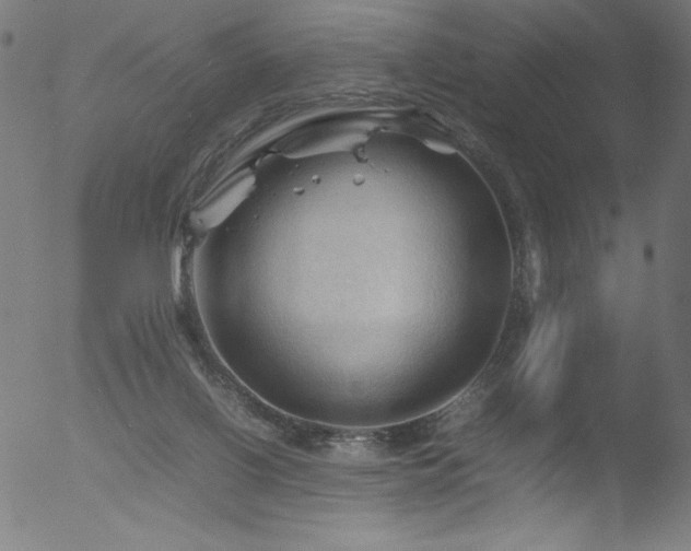 X0000053090070200507111208