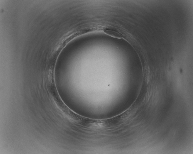 X0000053090071200507111208