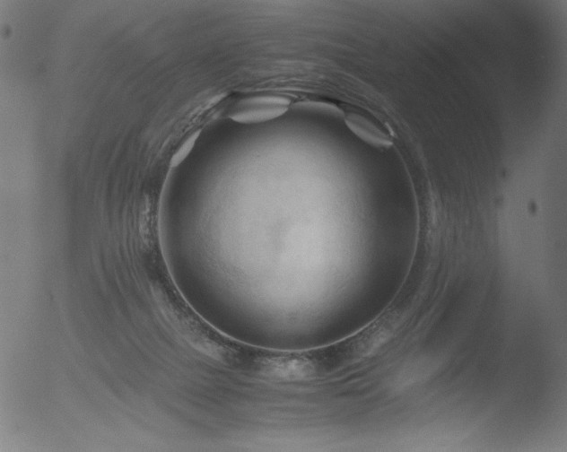 X0000053090073200507111208