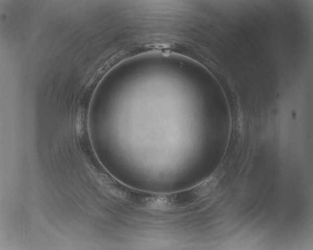 X0000053090074200507111208