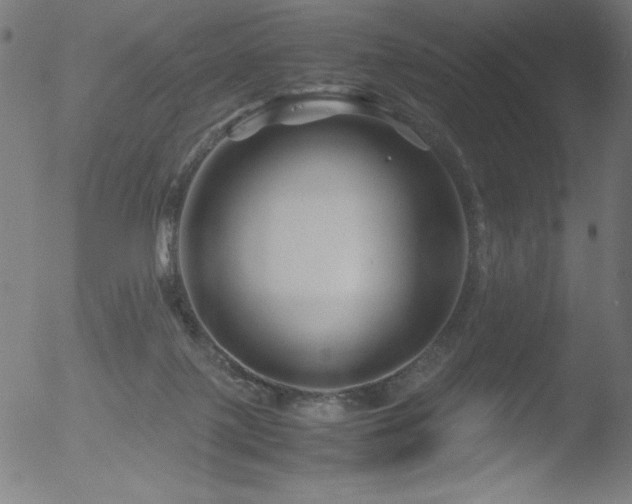 X0000053090075200507111208