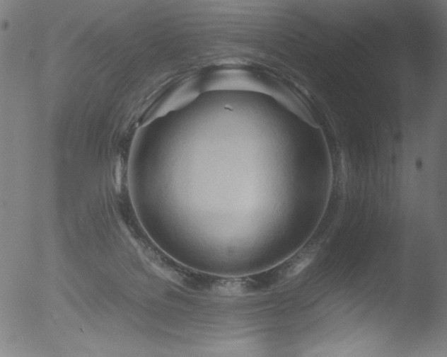 X0000053090076200507111208