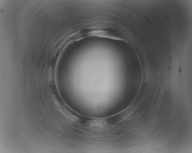 X0000053090077200507111208