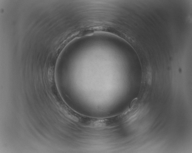 X0000053090078200507111208