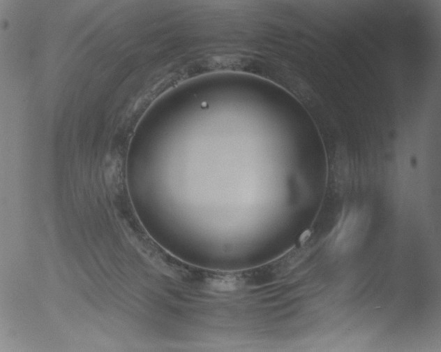 X0000053090079200507111208