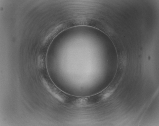 X0000053090080200507111208